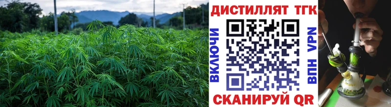 наркота Бобров Дистиллят ТГК вейп